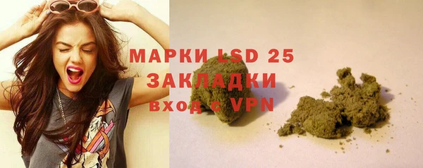 дурь Краснослободск