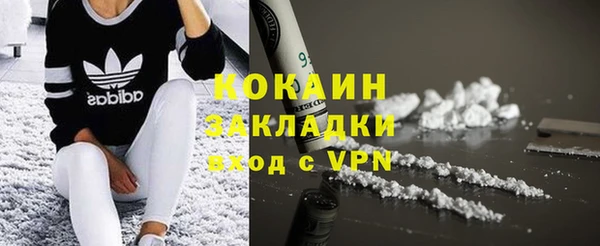 дурь Краснослободск