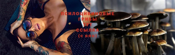 твердый Красноперекопск